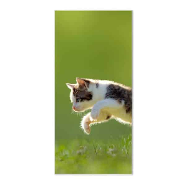 Banjado Magnettafel 37x78cm Magnetwand  Weiß Aus Metall Magnetpinnwand Pinnwand Inkl. 4 Magnete Motiv Jagende Katze