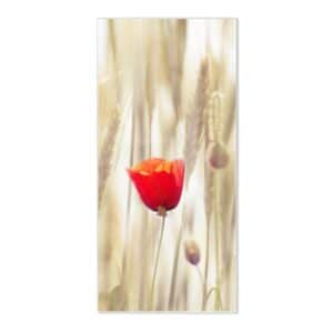 Banjado Magnettafel 37x78cm Magnetwand  Weiß Aus Metall Magnetpinnwand Pinnwand Inkl. 4 Magnete Motiv Klatschmohn