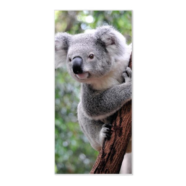 Banjado Magnettafel 37x78cm Magnetwand  Weiß Aus Metall Magnetpinnwand Pinnwand Inkl. 4 Magnete Motiv Koala