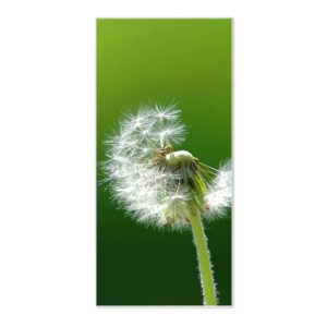 Banjado Magnettafel 37x78cm Magnetwand  Weiß Aus Metall Magnetpinnwand Pinnwand Inkl. 4 Magnete Motiv Pusteblume