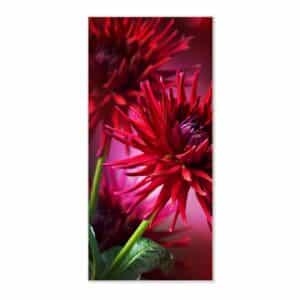 Banjado Magnettafel 37x78cm Magnetwand  Weiß Aus Metall Magnetpinnwand Pinnwand Inkl. 4 Magnete Motiv Rote Dahlien