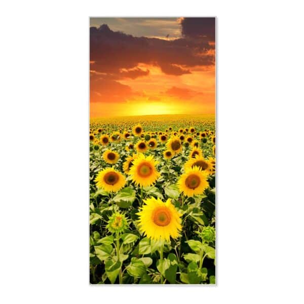 Banjado Magnettafel 37x78cm Magnetwand  Weiß Aus Metall Magnetpinnwand Pinnwand Inkl. 4 Magnete Motiv Sonnenblumenmeer