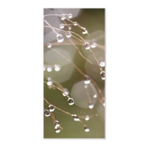 Banjado Magnettafel 37x78cm Magnetwand  Weiß Aus Metall Magnetpinnwand Pinnwand Inkl. 4 Magnete Motiv Tau Auf Zweigen