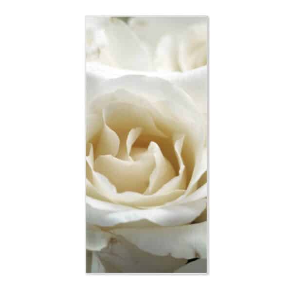 Banjado Magnettafel 37x78cm Magnetwand  Weiß Aus Metall Magnetpinnwand Pinnwand Inkl. 4 Magnete Motiv White Roses