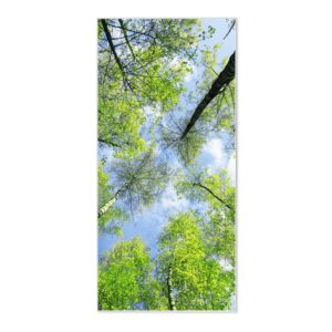 Banjado Magnettafel 37x78cm Magnetwand  Weiß Aus Metall Magnetpinnwand Pinnwand Inkl. 4 Magnete Motiv Zwischen Bäumen 3
