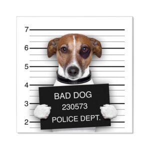 Banjado Magnettafel 50x50cm Magnetwand Weiß Aus Metall Magnetpinnwand Pinnwand Inkl. 4 Magnete Motiv Bad Dog Jack Russel