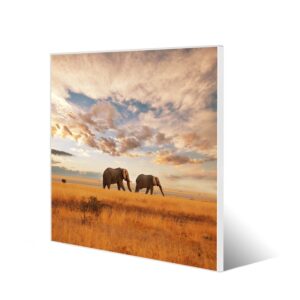 Banjado Magnettafel 50x50cm Magnetwand Weiß Aus Metall Magnetpinnwand Pinnwand Inkl. 4 Magnete Motiv Elefanten