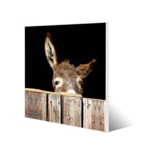 Banjado Magnettafel 50x50cm Magnetwand Weiß Aus Metall Magnetpinnwand Pinnwand Inkl. 4 Magnete Motiv Esel
