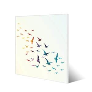Banjado Magnettafel 50x50cm Magnetwand Weiß Aus Metall Magnetpinnwand Pinnwand Inkl. 4 Magnete Motiv Fliegende Vögel