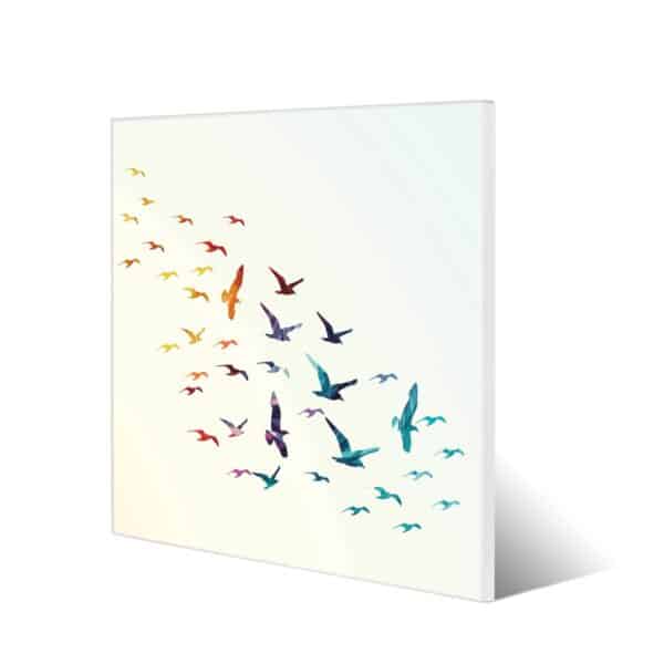 Banjado Magnettafel 50x50cm Magnetwand Weiß Aus Metall Magnetpinnwand Pinnwand Inkl. 4 Magnete Motiv Fliegende Vögel