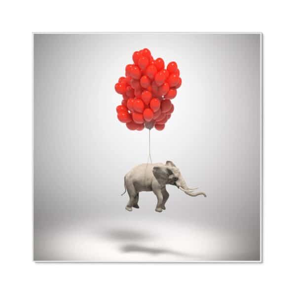 Banjado Magnettafel 50x50cm Magnetwand Weiß Aus Metall Magnetpinnwand Pinnwand Inkl. 4 Magnete Motiv Fliegender Elefant