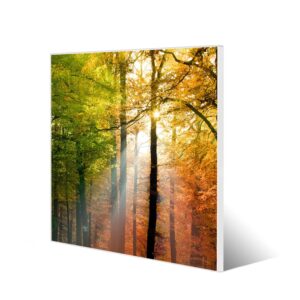 Banjado Magnettafel 50x50cm Magnetwand Weiß Aus Metall Magnetpinnwand Pinnwand Inkl. 4 Magnete Motiv Herbstwald