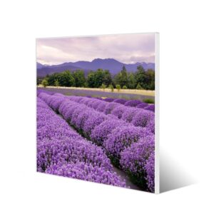 Banjado Magnettafel 50x50cm Magnetwand Weiß Aus Metall Magnetpinnwand Pinnwand Inkl. 4 Magnete Motiv Lavendel 1