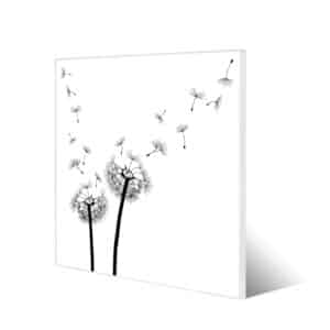 Banjado Magnettafel 50x50cm Magnetwand Weiß Aus Metall Magnetpinnwand Pinnwand Inkl. 4 Magnete Motiv Pusteblume 2