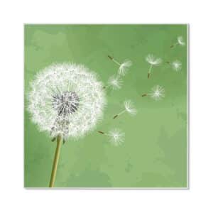 Banjado Magnettafel 50x50cm Magnetwand Weiß Aus Metall Magnetpinnwand Pinnwand Inkl. 4 Magnete Motiv Pusteblume 3