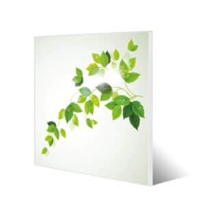 Banjado Magnettafel 50x50cm Magnetwand Weiß Aus Metall Magnetpinnwand Pinnwand Inkl. 4 Magnete Motiv Ranke Gelb Weiß