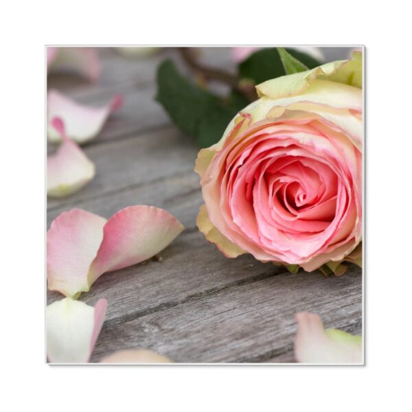 Banjado Magnettafel 50x50cm Magnetwand Weiß Aus Metall Magnetpinnwand Pinnwand Inkl. 4 Magnete Motiv Rosa Rose