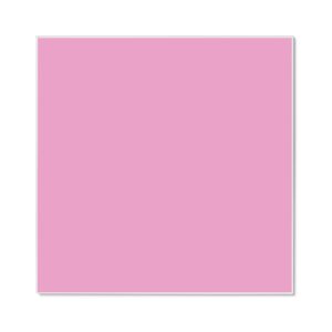 Banjado Magnettafel 50x50cm Magnetwand Weiß Aus Metall Magnetpinnwand Pinnwand Inkl. 4 Magnete Motiv Rose