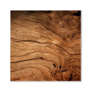 Banjado Magnettafel 50x50cm Magnetwand Weiß Aus Metall Magnetpinnwand Pinnwand Inkl. 4 Magnete Motiv Trockenes Holz