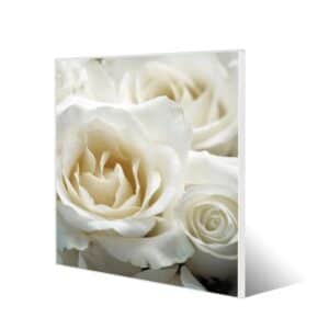 Banjado Magnettafel 50x50cm Magnetwand Weiß Aus Metall Magnetpinnwand Pinnwand Inkl. 4 Magnete Motiv White Roses