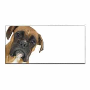 Banjado Magnettafel 78x37cm Magnetwand  Schwarz Aus Metall Magnetpinnwand Pinnwand Inkl. 4 Magnete Motiv Boxer