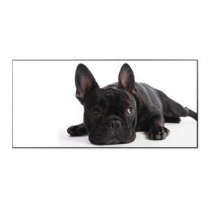 Banjado Magnettafel 78x37cm Magnetwand  Schwarz Aus Metall Magnetpinnwand Pinnwand Inkl. 4 Magnete Motiv Bulldogge