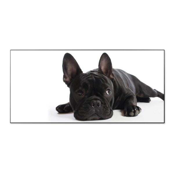 Banjado Magnettafel 78x37cm Magnetwand  Schwarz Aus Metall Magnetpinnwand Pinnwand Inkl. 4 Magnete Motiv Bulldogge