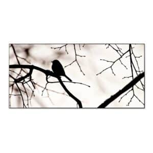 Banjado Magnettafel 78x37cm Magnetwand  Schwarz Aus Metall Magnetpinnwand Pinnwand Inkl. 4 Magnete Motiv Früher Vogel