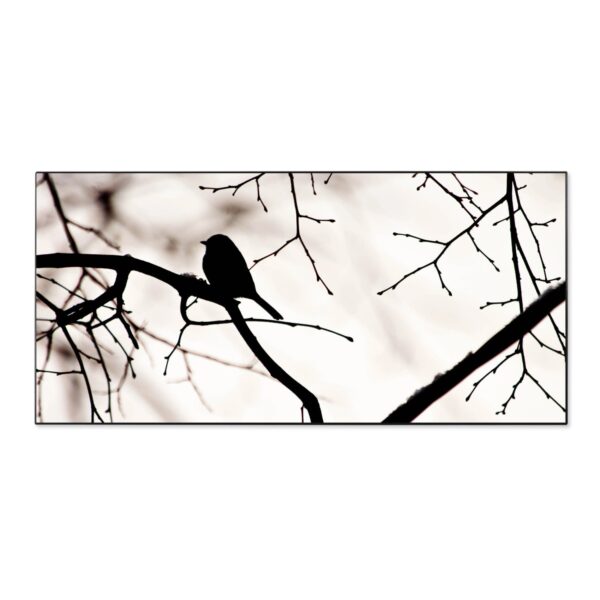 Banjado Magnettafel 78x37cm Magnetwand  Schwarz Aus Metall Magnetpinnwand Pinnwand Inkl. 4 Magnete Motiv Früher Vogel