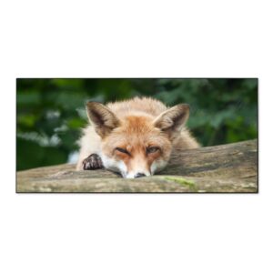 Banjado Magnettafel 78x37cm Magnetwand  Schwarz Aus Metall Magnetpinnwand Pinnwand Inkl. 4 Magnete Motiv Fuchs Relax
