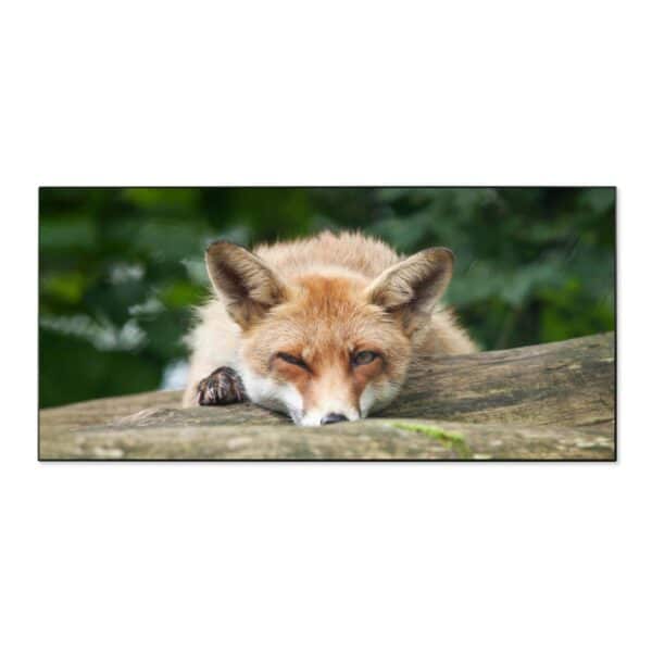 Banjado Magnettafel 78x37cm Magnetwand  Schwarz Aus Metall Magnetpinnwand Pinnwand Inkl. 4 Magnete Motiv Fuchs Relax