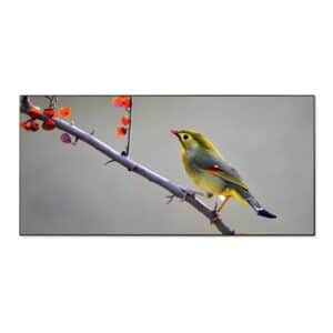 Banjado Magnettafel 78x37cm Magnetwand  Schwarz Aus Metall Magnetpinnwand Pinnwand Inkl. 4 Magnete Motiv Herbst Vogel