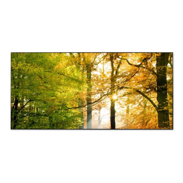 Banjado Magnettafel 78x37cm Magnetwand  Schwarz Aus Metall Magnetpinnwand Pinnwand Inkl. 4 Magnete Motiv Herbstwald