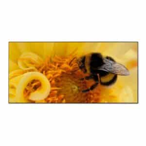Banjado Magnettafel 78x37cm Magnetwand  Schwarz Aus Metall Magnetpinnwand Pinnwand Inkl. 4 Magnete Motiv Hummel