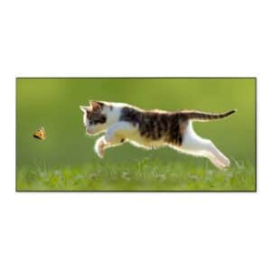 Banjado Magnettafel 78x37cm Magnetwand  Schwarz Aus Metall Magnetpinnwand Pinnwand Inkl. 4 Magnete Motiv Jagende Katze