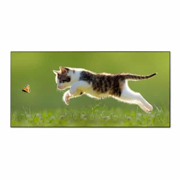 Banjado Magnettafel 78x37cm Magnetwand  Schwarz Aus Metall Magnetpinnwand Pinnwand Inkl. 4 Magnete Motiv Jagende Katze