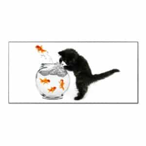 Banjado Magnettafel 78x37cm Magnetwand  Schwarz Aus Metall Magnetpinnwand Pinnwand Inkl. 4 Magnete Motiv Katze Und Fisch