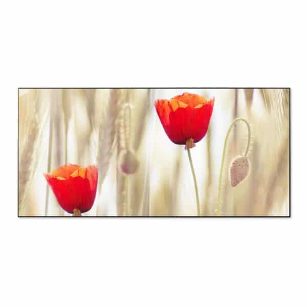 Banjado Magnettafel 78x37cm Magnetwand  Schwarz Aus Metall Magnetpinnwand Pinnwand Inkl. 4 Magnete Motiv Klatschmohn