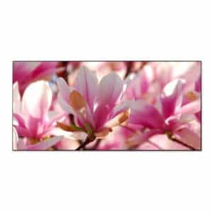Banjado Magnettafel 78x37cm Magnetwand  Schwarz Aus Metall Magnetpinnwand Pinnwand Inkl. 4 Magnete Motiv Magnolia