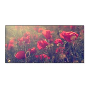Banjado Magnettafel 78x37cm Magnetwand  Schwarz Aus Metall Magnetpinnwand Pinnwand Inkl. 4 Magnete Motiv Mohn