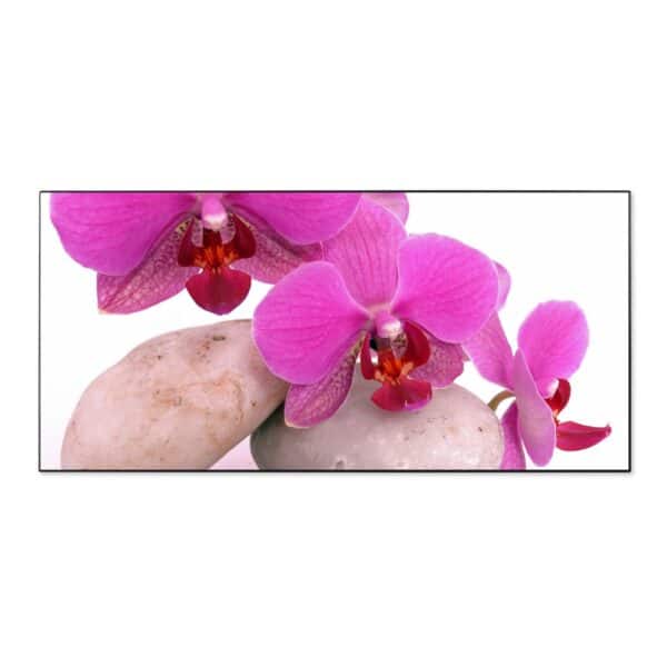 Banjado Magnettafel 78x37cm Magnetwand  Schwarz Aus Metall Magnetpinnwand Pinnwand Inkl. 4 Magnete Motiv Orchidee