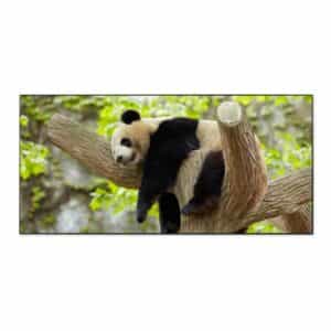 Banjado Magnettafel 78x37cm Magnetwand  Schwarz Aus Metall Magnetpinnwand Pinnwand Inkl. 4 Magnete Motiv Panda