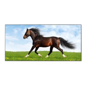 Banjado Magnettafel 78x37cm Magnetwand  Schwarz Aus Metall Magnetpinnwand Pinnwand Inkl. 4 Magnete Motiv Pferd