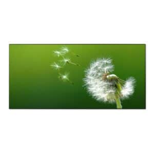 Banjado Magnettafel 78x37cm Magnetwand  Schwarz Aus Metall Magnetpinnwand Pinnwand Inkl. 4 Magnete Motiv Pusteblume