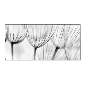 Banjado Magnettafel 78x37cm Magnetwand  Schwarz Aus Metall Magnetpinnwand Pinnwand Inkl. 4 Magnete Motiv Pusteblumen Sw