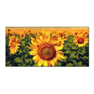 Banjado Magnettafel 78x37cm Magnetwand  Schwarz Aus Metall Magnetpinnwand Pinnwand Inkl. 4 Magnete Motiv Sonnenblumen
