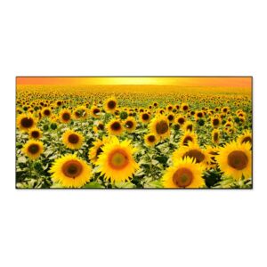 Banjado Magnettafel 78x37cm Magnetwand  Schwarz Aus Metall Magnetpinnwand Pinnwand Inkl. 4 Magnete Motiv Sonnenblumenmeer