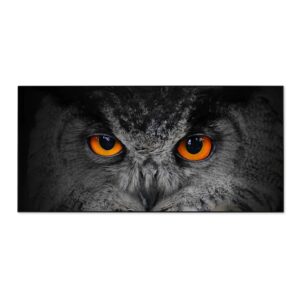 Banjado Magnettafel 78x37cm Magnetwand  Schwarz Aus Metall Magnetpinnwand Pinnwand Inkl. 4 Magnete Motiv Uhu