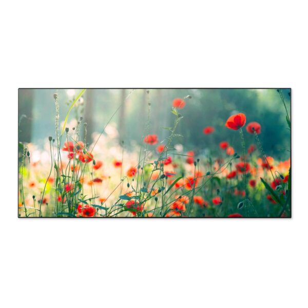 Banjado Magnettafel 78x37cm Magnetwand  Schwarz Aus Metall Magnetpinnwand Pinnwand Inkl. 4 Magnete Motiv Waldmohn