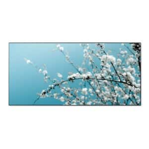 Banjado Magnettafel 78x37cm Magnetwand  Schwarz Aus Metall Magnetpinnwand Pinnwand Inkl. 4 Magnete Motiv Weiße Kirschblüten